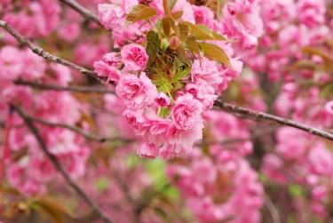 嘉兴海盐6线下个人借款平台一站式服务，轻松解决资金难题