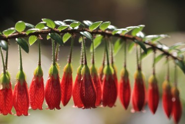 嘉兴海盐6零用贷短借：轻松解决临时资金需求