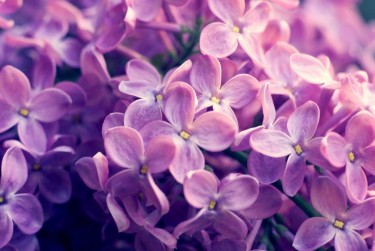 嘉兴海盐6企业急用钱贷款攻略：快速融资解燃眉之急